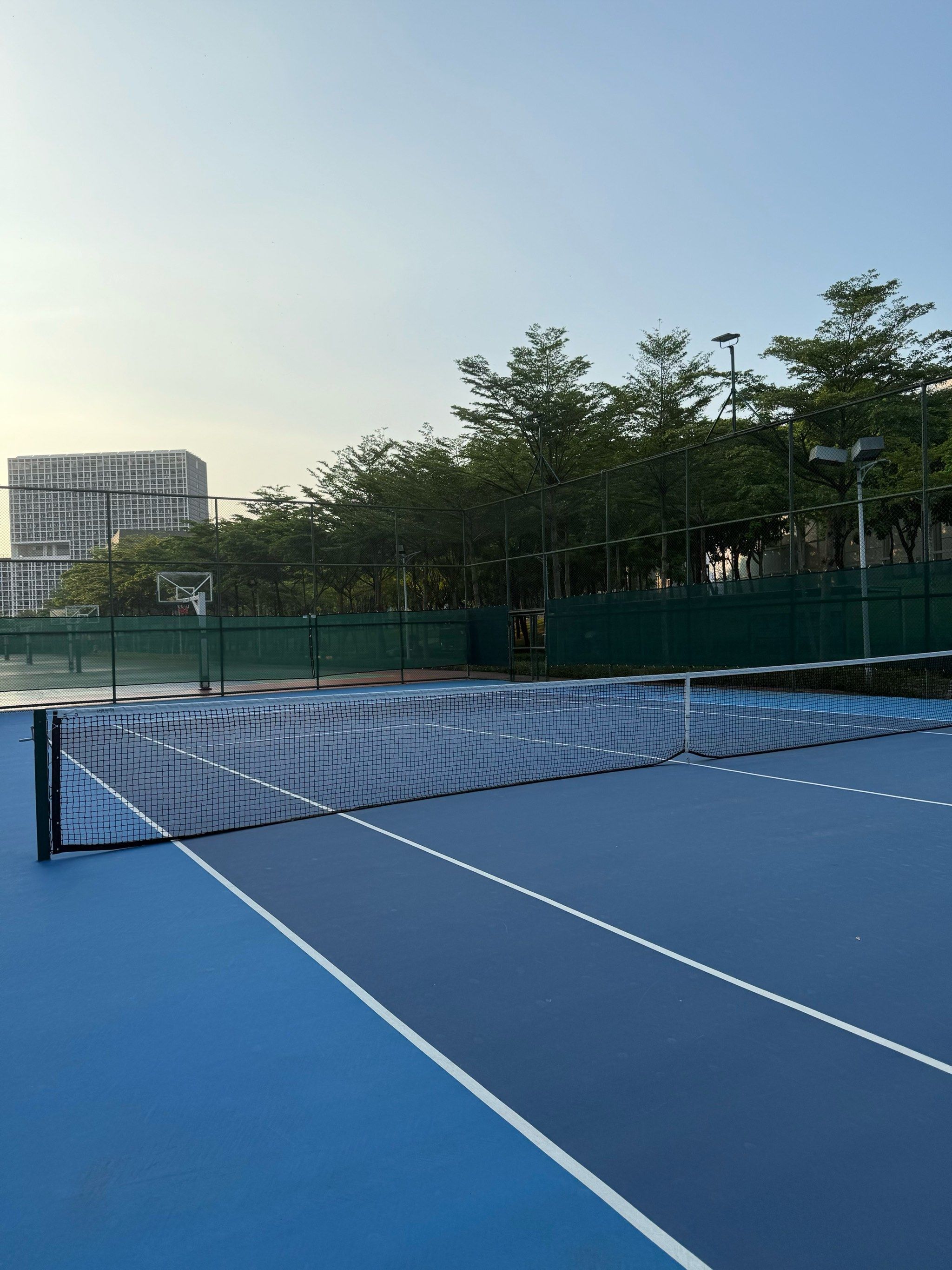 廷贝尔作为 廷贝尔作为