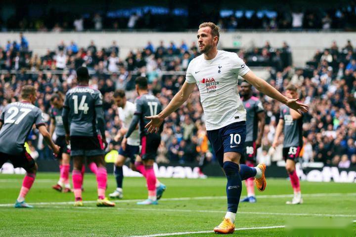 决定下注质 决定下注质